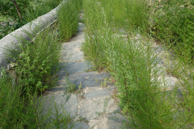 京西古道--十里八桥古道